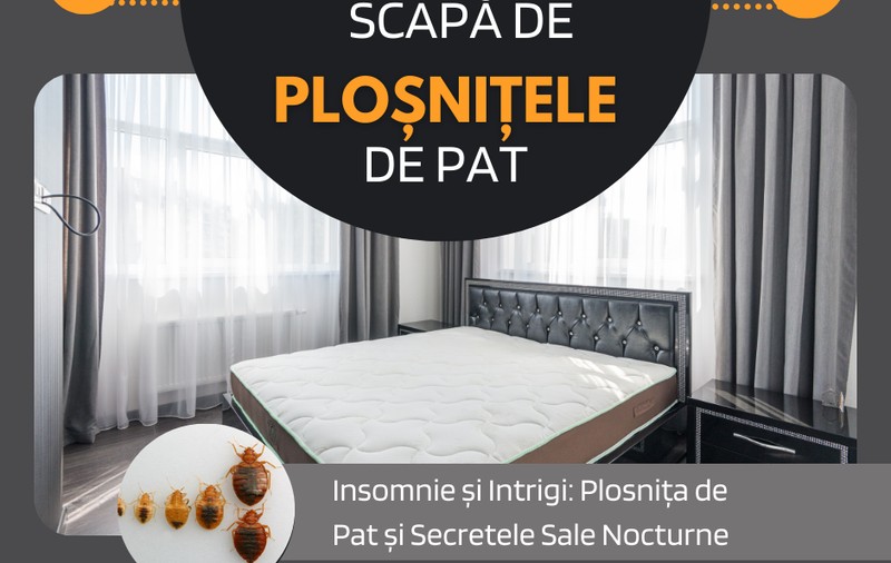 Dezinsecție Ploșnițe de Pat -  Scapă definitiv cu Actual Clean 