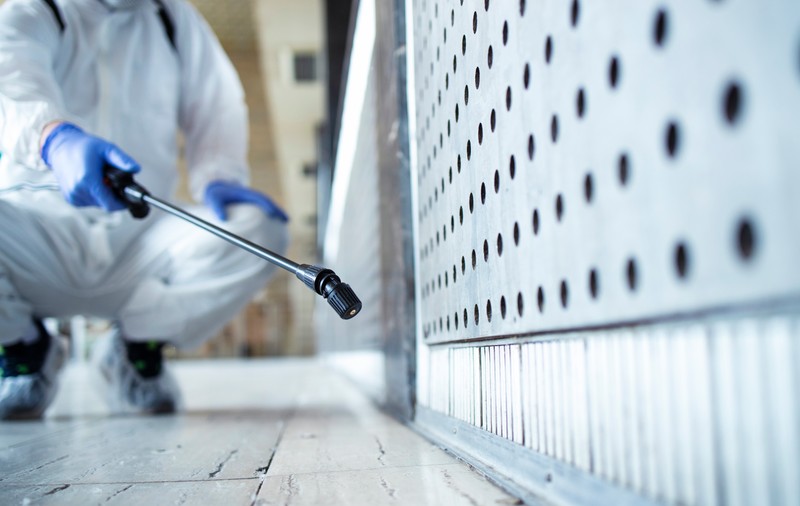 Servicii Contracte DDD - Dezinsectie Plosnite București