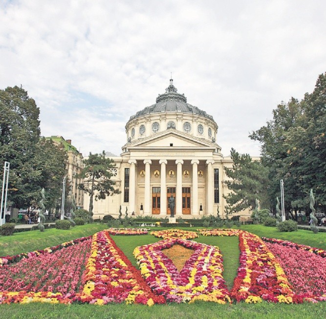 Arhiva foto