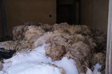 Lâna depozitată într-un apartament de la parterul unuia dintre blocurile scoase la vânzare