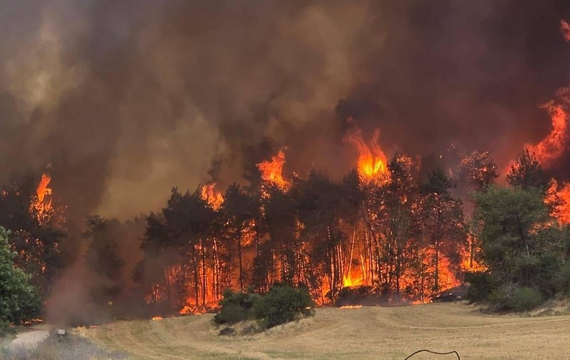 Oamenii au fugit din calea focului și și-au abandonat mașinile, în Israel. România trimite două avioane, pentru ca incendiul să nu ajungă la Ierusalim