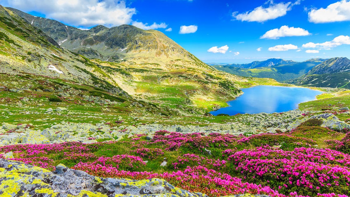 Parcuri naționale și parcuri naturale din România