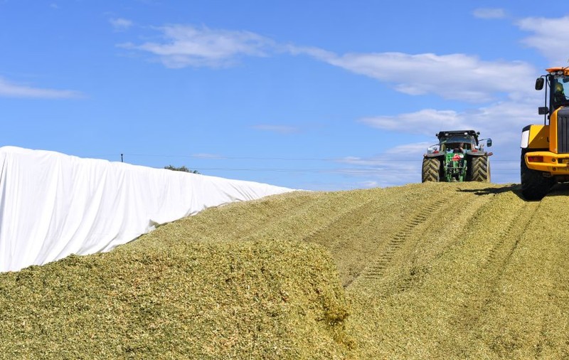 23,5 milioane de tone de cereale sunt blocate în Ucraina. Exportul, redus la o cincime din cauza războiului