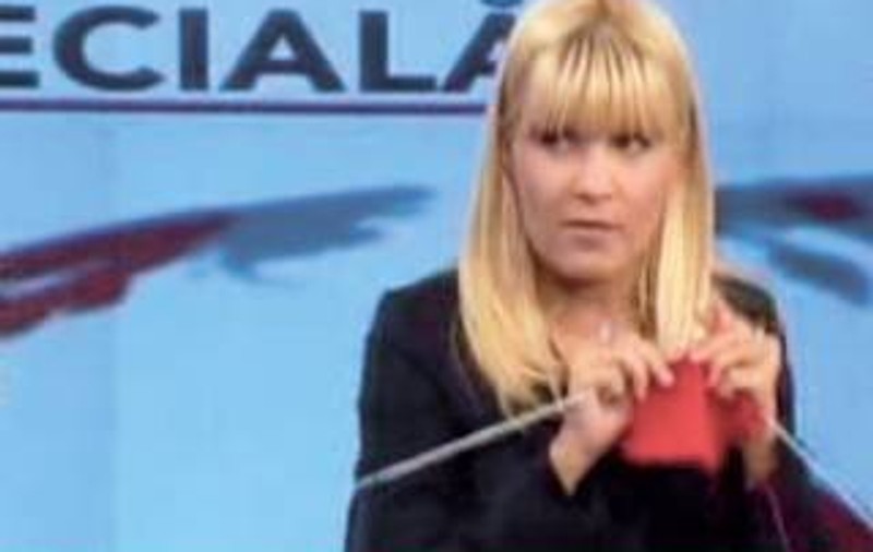 Un deputat PDL, despre Elena Udrea: ”Nu mai putem merge să croșetăm la televizor”