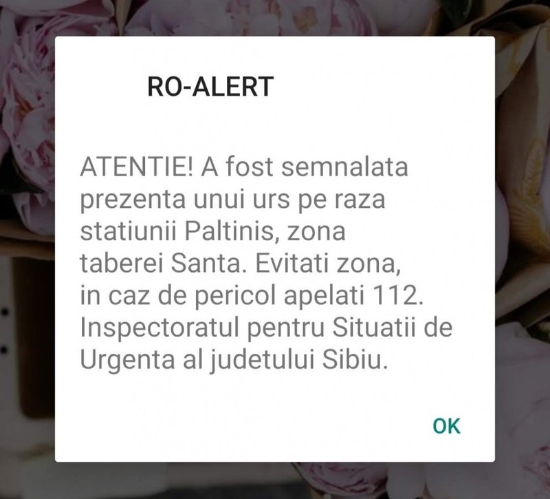 Mesajul de avertizare RO-Alert, emis din cauza prezenței ursului în stațiunea Păltiniș / sursă foto: Turnul Sfatului