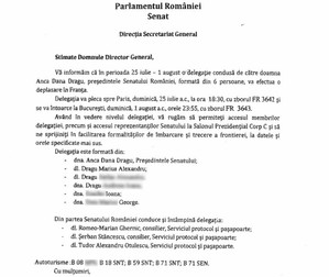 Documentu intern al Senatului Românei, obținut și de Libertatea