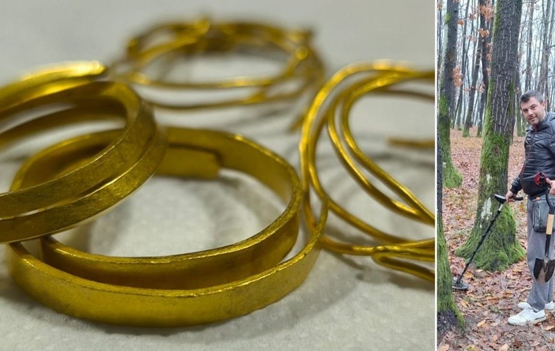 Bijuterii vechi de peste 3.000 de ani, găsite într-o pădure de un tânăr din Târgu Jiu
