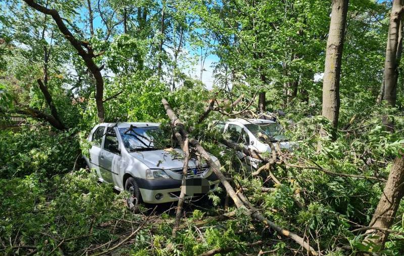 Bilanțul furtunii din București: 159 de copaci căzuţi și 43 de autoturisme avariate. Pagube produse în 14 județe