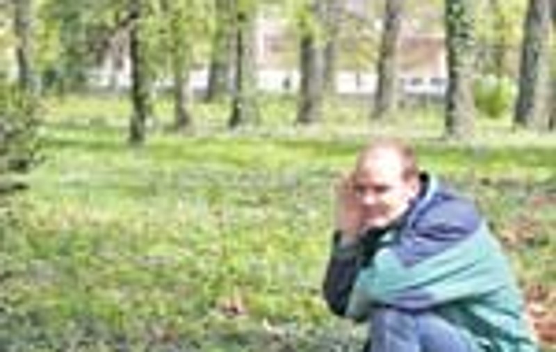 Capitala, cuib imposibil pentru pasari