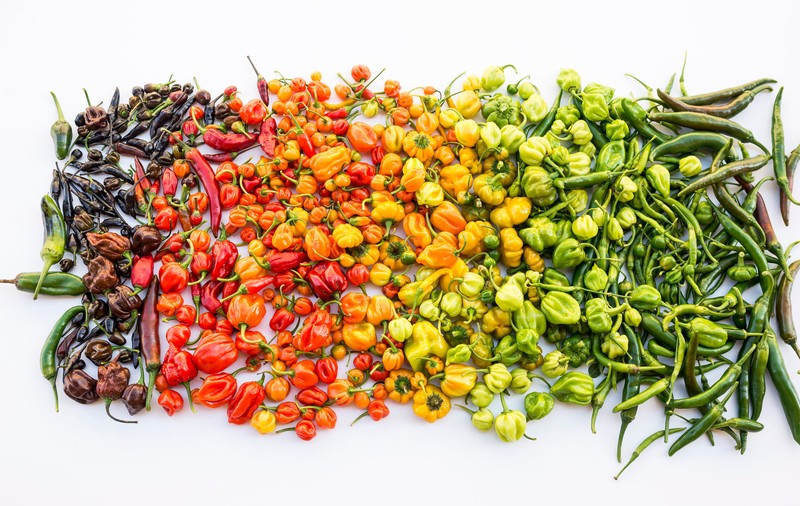 Cei mai iuți ardei. Câte unități pe scara Scoville are cel mai iute ardei