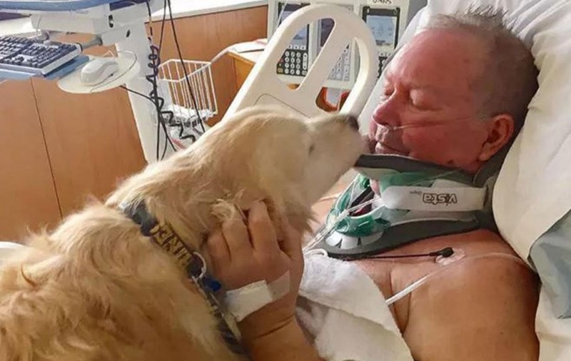 Un câine i-a salvat viața stăpânului său, după ce acesta și-a fracturat gâtul în zăpadă