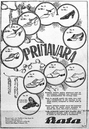 Arhiva foto