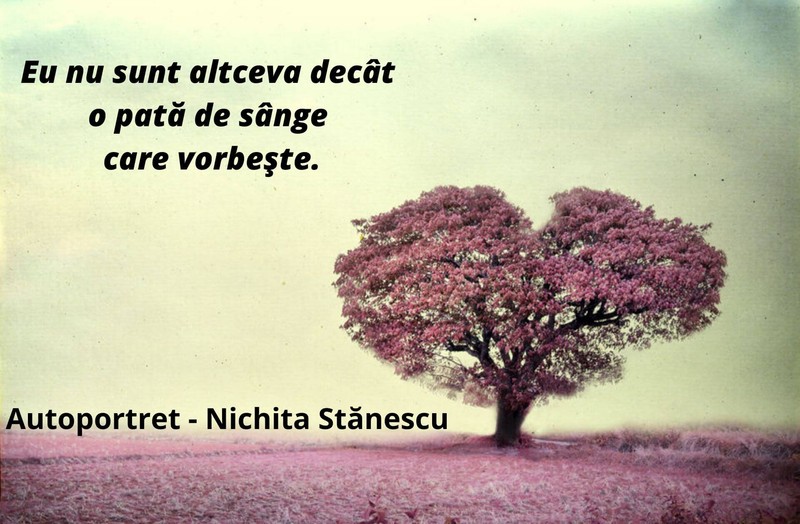 Autoportret - poezie de Nichita Stănescu