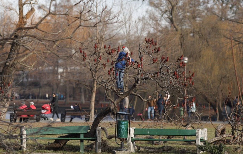 Temperaturi neobișnuite. Cea mai călduroasă zi de 3 februarie din ultimii 60 de ani