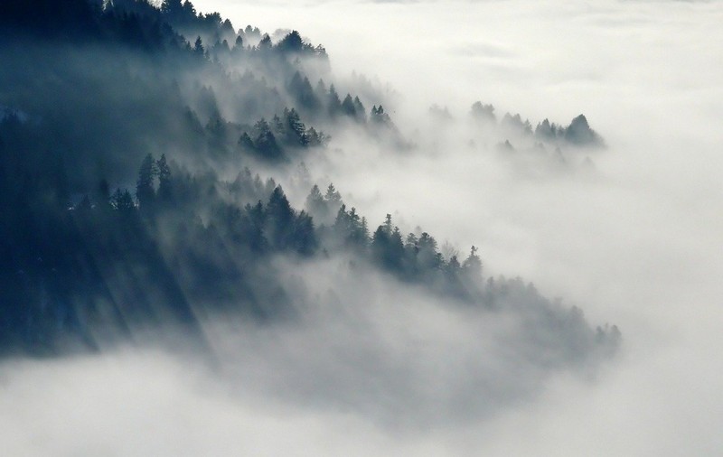 Prognoza meteo, 16 și 17 noiembrie. Vreme mohorâtă în București și în țară, weekendul acesta