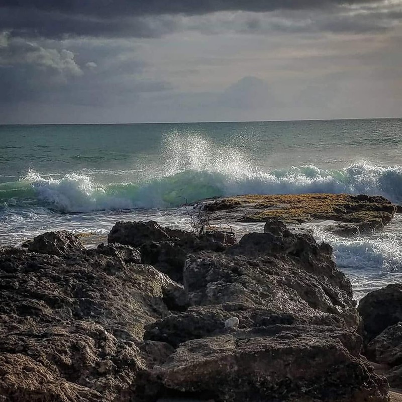 Arhiva foto