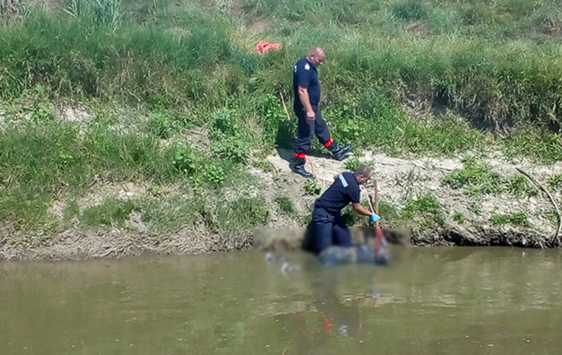Bătrână înecată, descoperită pe râul Bârlad. Dispăruse de acasă din 17 iulie