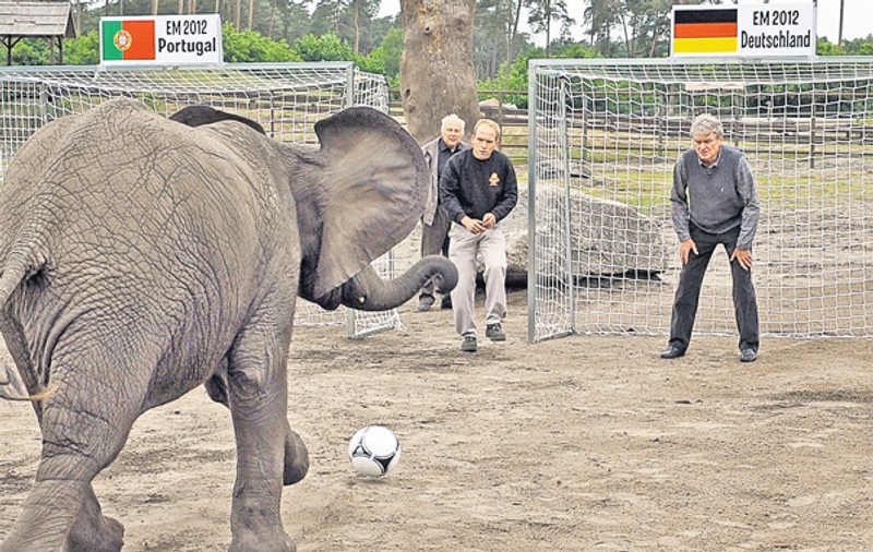 Euro-animalele | FOTO