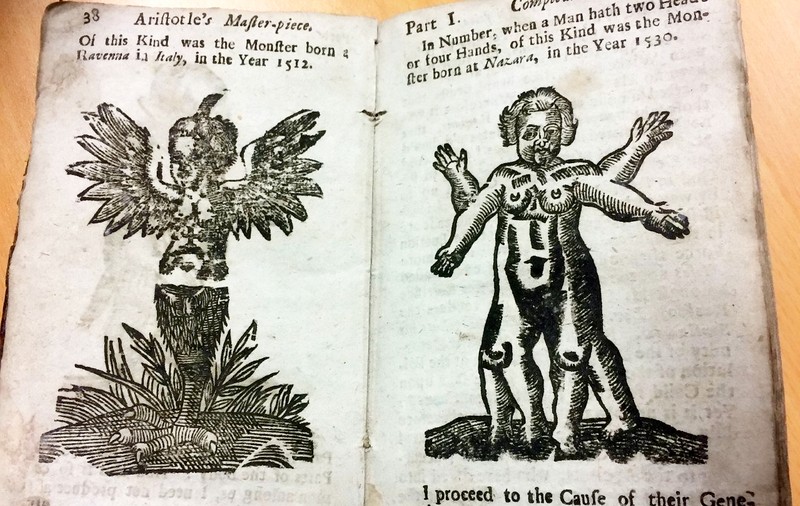 GALERIE FOTO | Manual de sex interzis 250 de ani, descoperit de curând