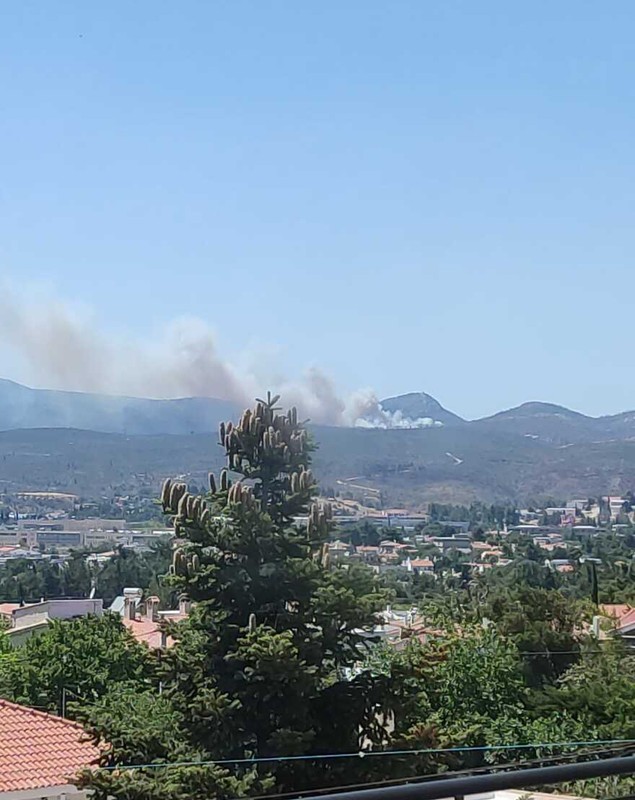 Sute de pompieri luptă să stingă incendiile din pădurile de lângă Atena: „Sunt mai multe focare, lupta este crâncenă”