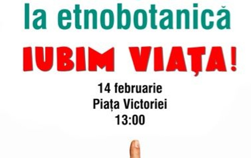 Buzdugan şi Morar protestează cu mărar, împotriva etnobotanicelor