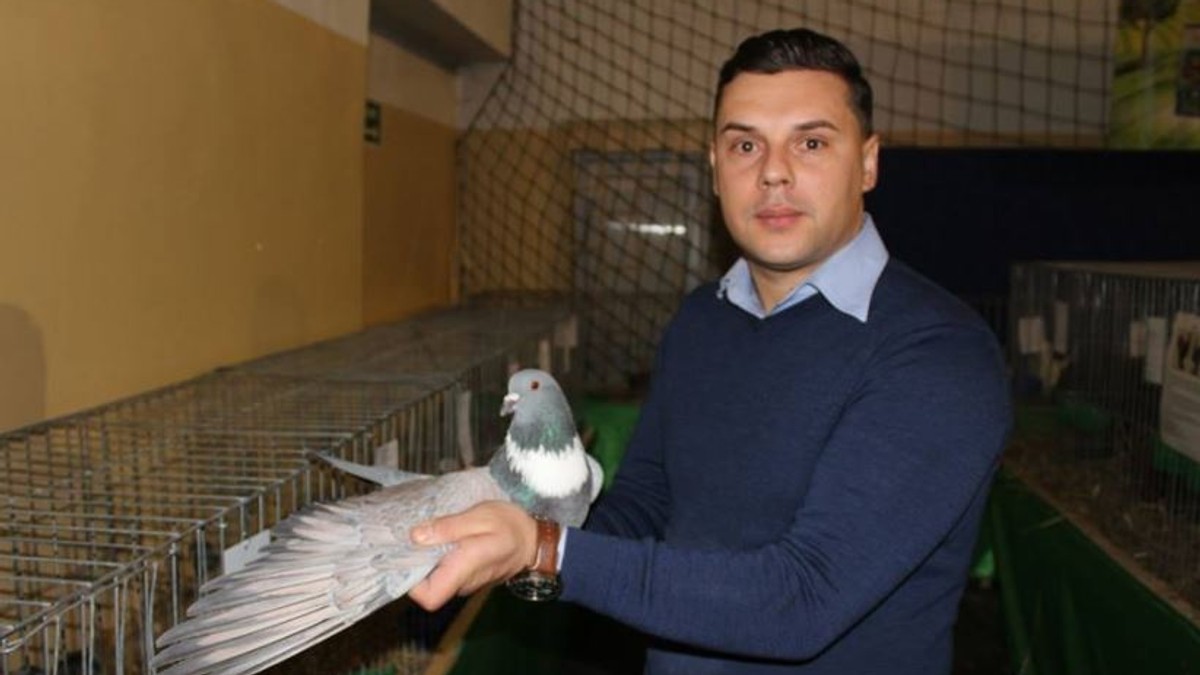Un subofițer MapN crește o rasă unică de porumbei în România