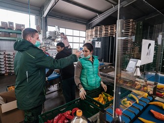 Un angajat de la ferma Höfler Gemüse le ia temperatura zilnic muncitorilor sezonieri, Nürnberg, Germania