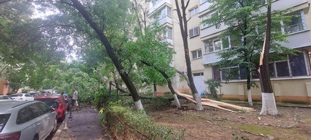 Arhiva foto