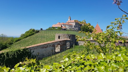 Castelul medieval din Riegersburg