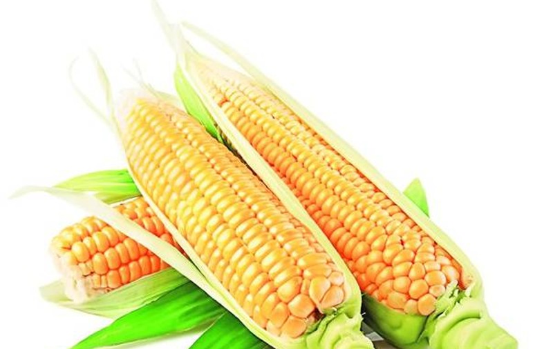 Dieta cu porumb fiert: Slăbeşte româneşte, 5 kilograme în 10 zile