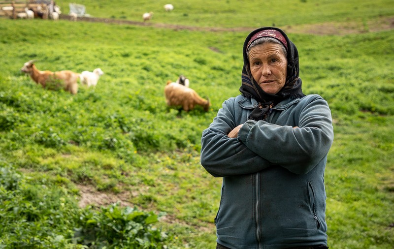 Povestea Lenuței, păstoriţa cu 9 copii, din Rășinari: “Ca să-i pot creşte, m-am angajat un fel de slugă, să păzesc caprele oamenilor din sat”
