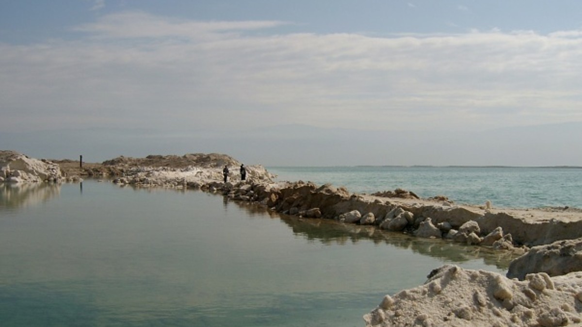 Arhiva foto