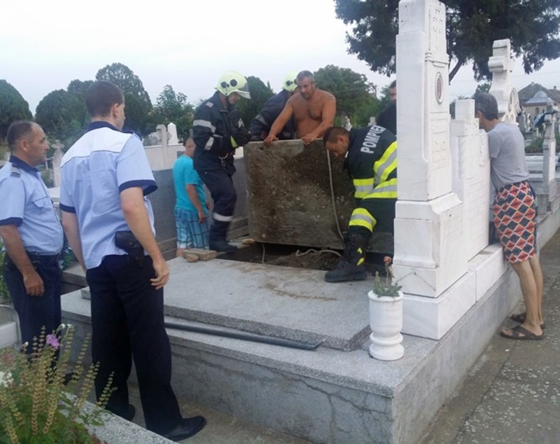 Un câine a fost îngropat de viu intenționat într-un cavou din cimitir. Explicația uluitoare a groparilor, care și-au recunoscut fapta