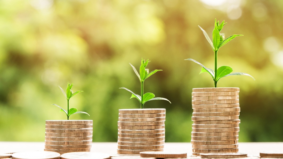 Alegerea proprietății potrivite pentru o investiție imobiliară depinde de capitalul pe care îl ai la dispoziție, dar și de rata de amortizare a acesteia, în timp