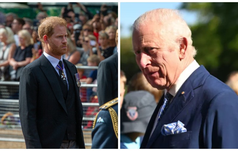 Prințul Harry face primul pas spre împăcare și a înaintat o propunere regelui Charles