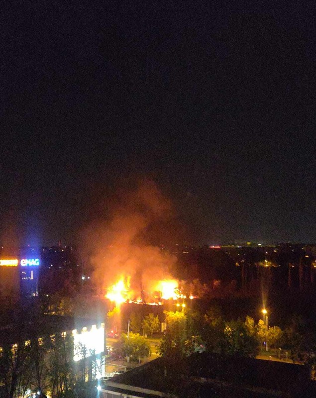 Incendiu puternic în Parcul IOR din București. Au ars 4.000 de metri pătrați de vegetație