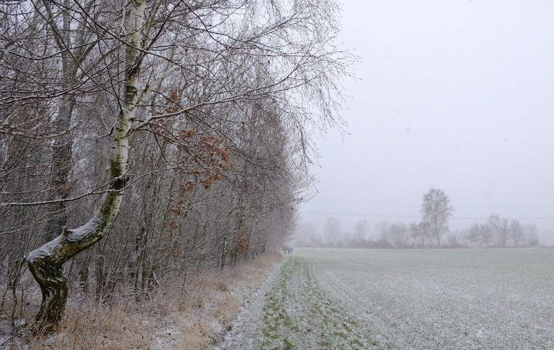 Prognoza meteo 1 - 14 decembrie 2025 anunță un început de iarnă cu temperaturi de peste 10 grade. Când se răcește