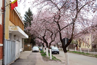 Arhiva foto