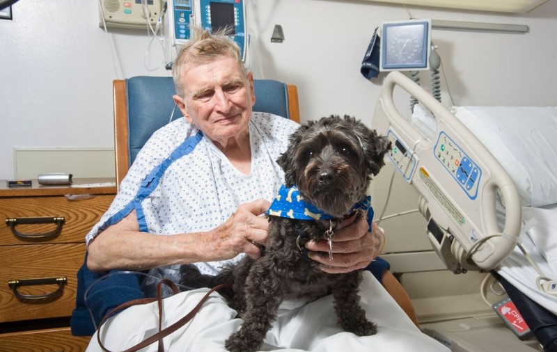Bolnavii internați pe perioade îndelungate pot fi vizitați de animalele de companie, la un spital din Portugalia