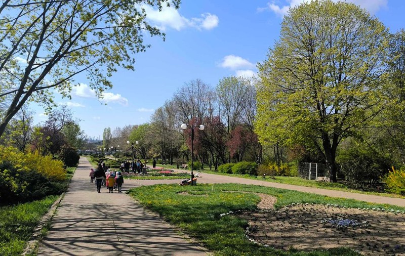 Maimuțele din Olanda, legătură neașteptată cu spațiile verzi de la Grădina Botanică Galați: „A cerut sponsorizări, de parcă se ducea acolo să ia o pisică”