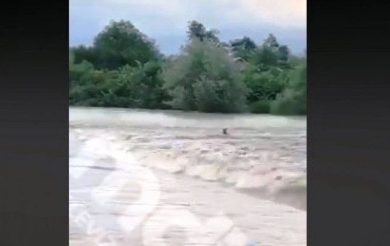 Bărbat luat de viitură în Răcari, Dâmbovița. S-a aventurat într-un râu ieșit din matcă / VIDEO