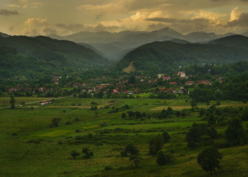 Arhiva foto