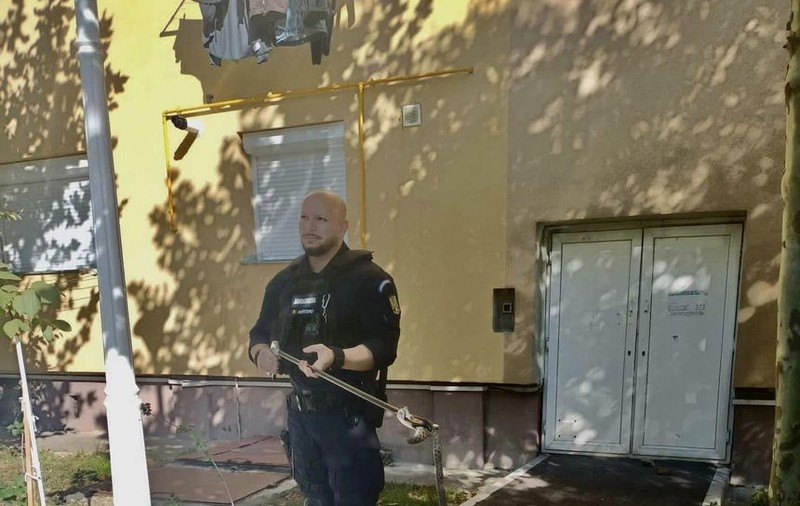 O viperă a fost găsită în scara unui bloc din Drobeta-Turnu Severin. Jandarmii au intervenit pentru îndepărtarea reptilei