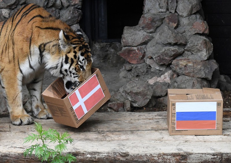 FOTO: Hepta / Ilya Naymushin / Sputnik