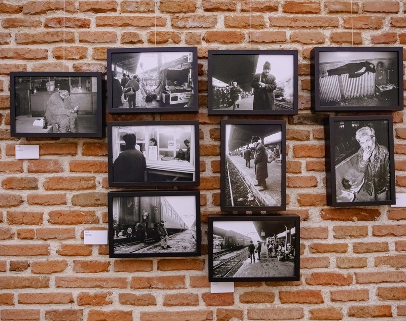 INTERVIU. De la transhumanță la oile care sunt duse la munte cu mașina. Un fotograf român a urmărit timp de 15 ani ciobanii din șase țări: „Mersul pe jos nu ajută doar omul, ci și oaia”