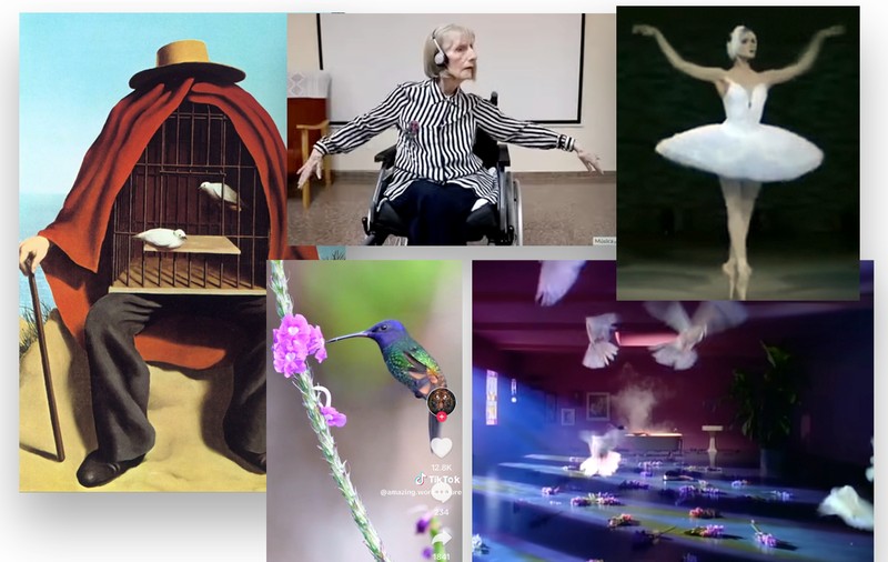 RADAr CULTURAL. La început a fost zborul