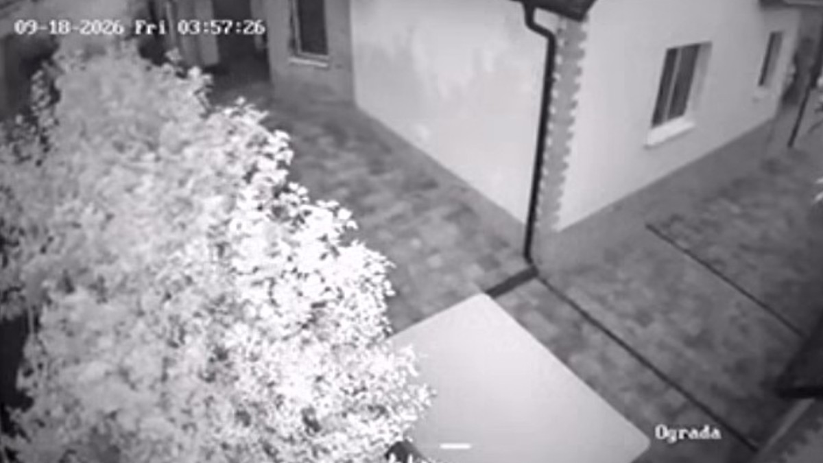Secvență alb-negru capturată de o cameră de supraveghere nocturnă, ce arată curtea interioară a unei clădiri rezidențiale pavele și vegetație.