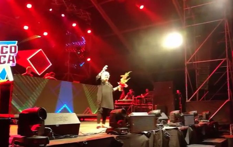 VIDEO/ Mirabela Dauer și Corina Chiriac au făcut show la Electric Castle