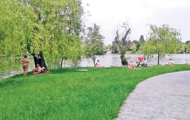 S-au înghesuit să facă plajă în parc