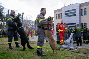 Câinii de intervenție Thor (stânga) și Speedy (dreapta), împreună cu conductorii lor